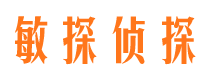 宜丰市私家侦探